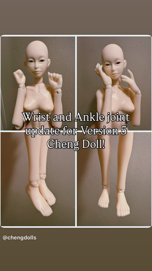 Version 5 Update (08/20/2025)